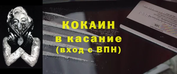 твердый Арсеньев