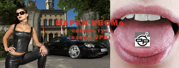 твердый Арсеньев