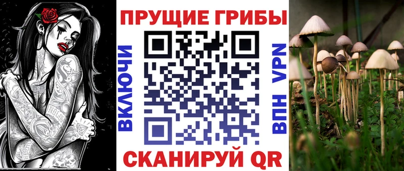 Галлюциногенные грибы прущие грибы Бахчисарай